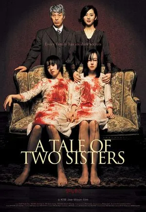 A Tale of Two Sisters 2003 Hindi Dual Audio WEB-DL | Full Movie